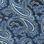 OTAA - Paisley Tie - Navy & Light Blue