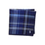 Polo Ralph Lauren - Handkerchief - Plaid - Blue