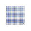 Polo Ralph Lauren - Handkerchief - Plaid - Blue & White